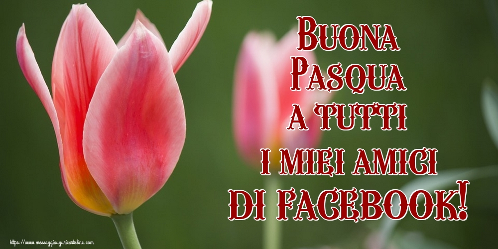 Buona Pasqua a tutti i miei amici di facebook!