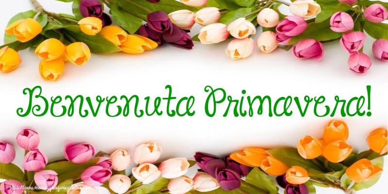 Primavera Benvenuta Primavera!