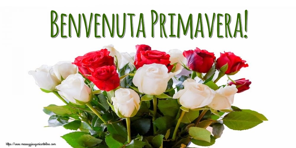 Benvenuta Primavera!