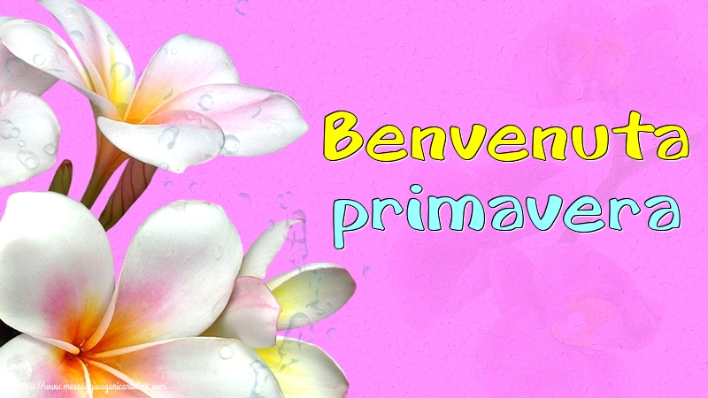 Benvenuta primavera