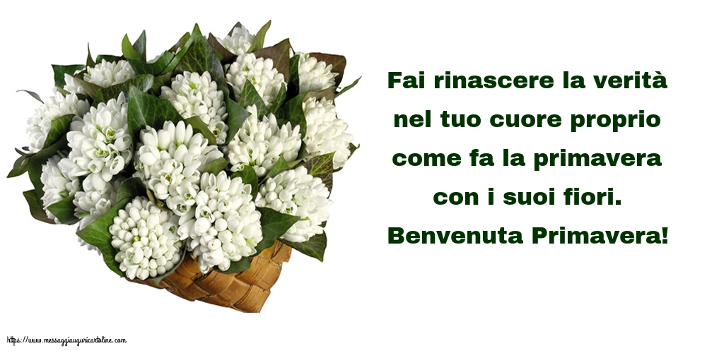 Benvenuta Primavera!