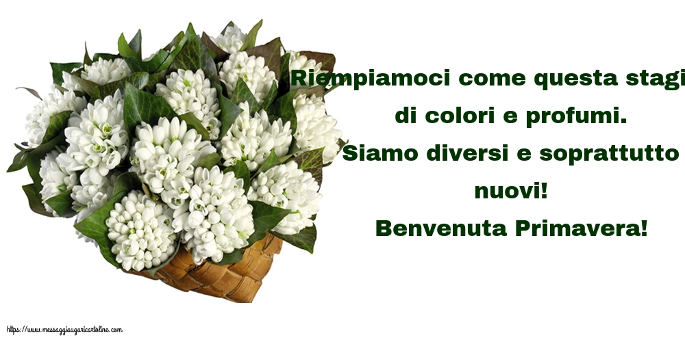 Benvenuta Primavera!