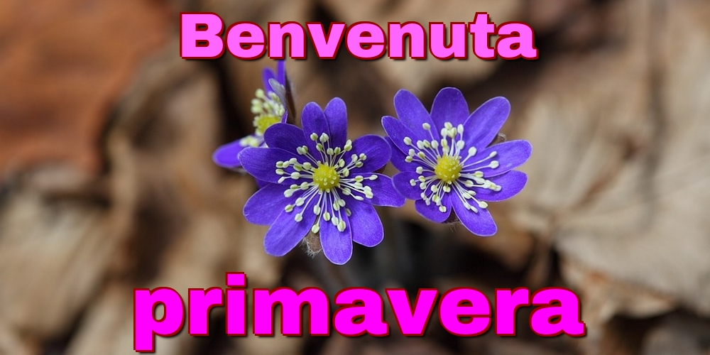 Benvenuta primavera