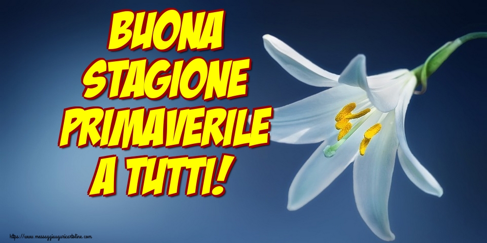Buona stagione primaverile a tutti!