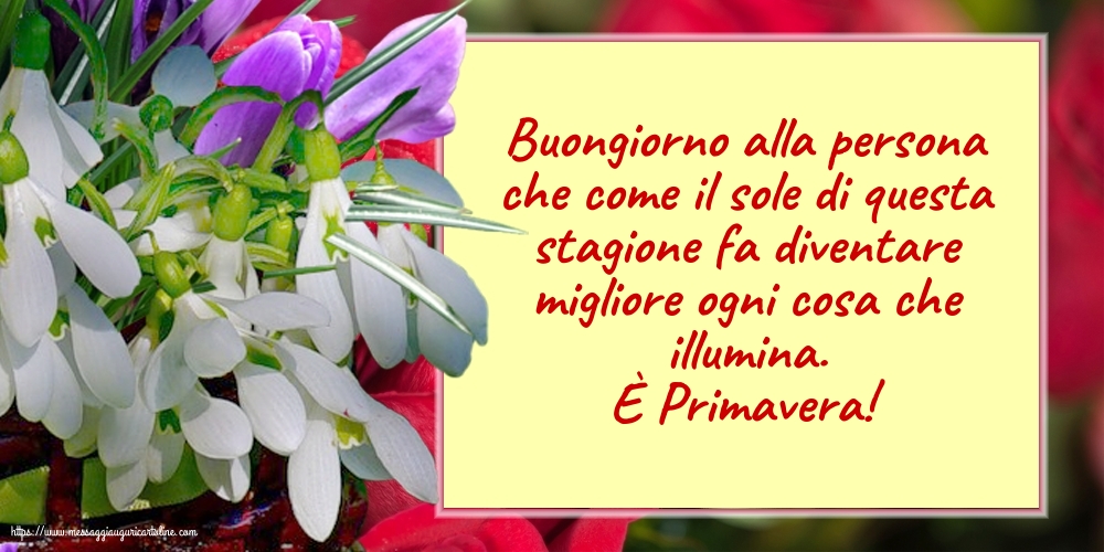 Primavera È Primavera!