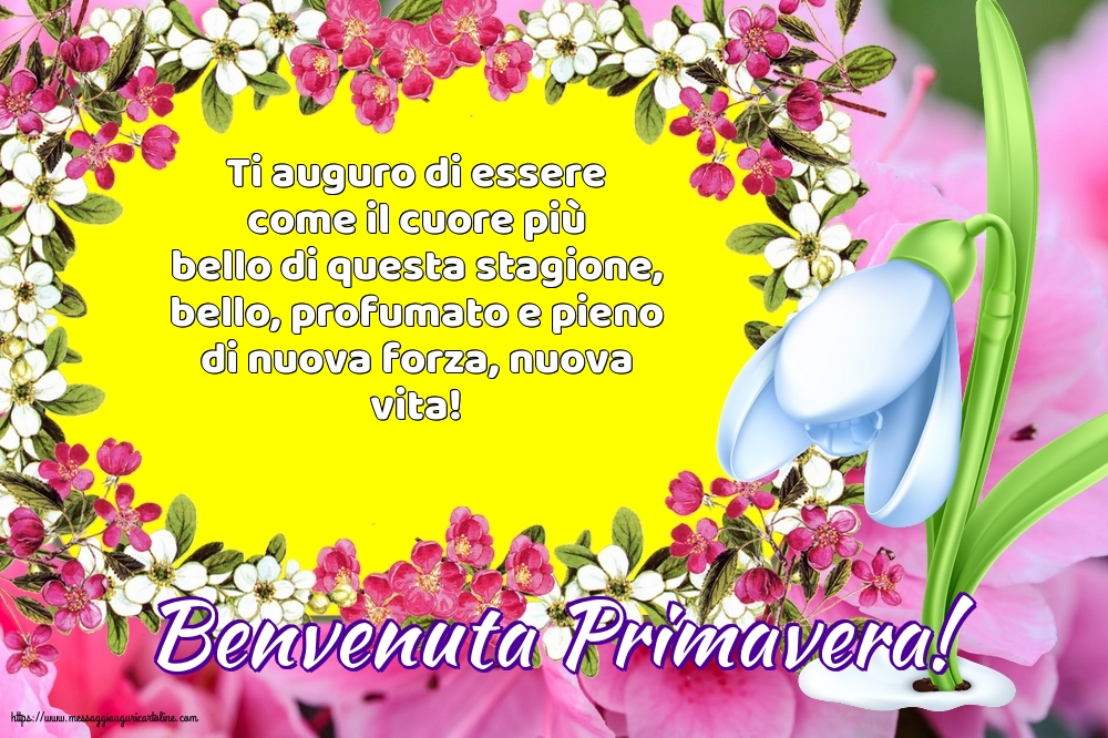 Benvenuta Primavera!