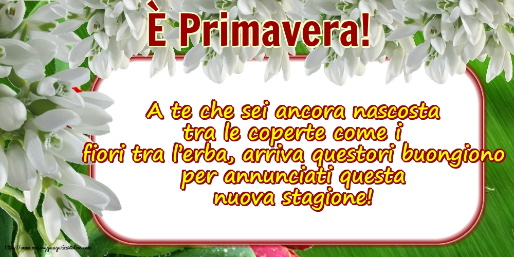 Primavera È Primavera!