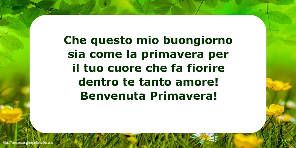 Benvenuta Primavera!