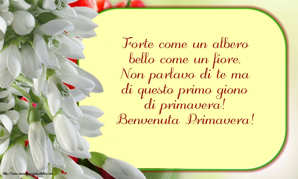 Benvenuta Primavera!