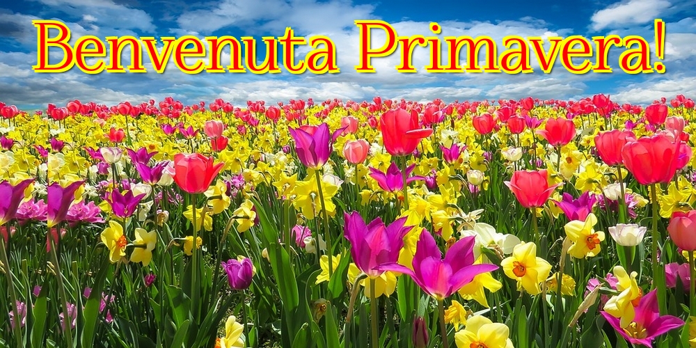 Primavera Benvenuta Primavera!