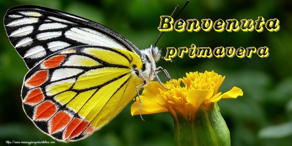 Benvenuta primavera