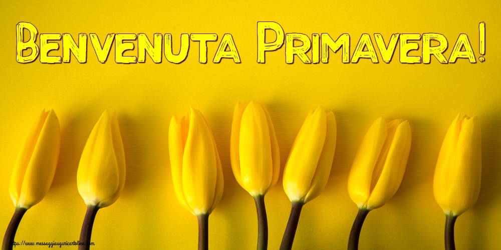 Benvenuta Primavera!