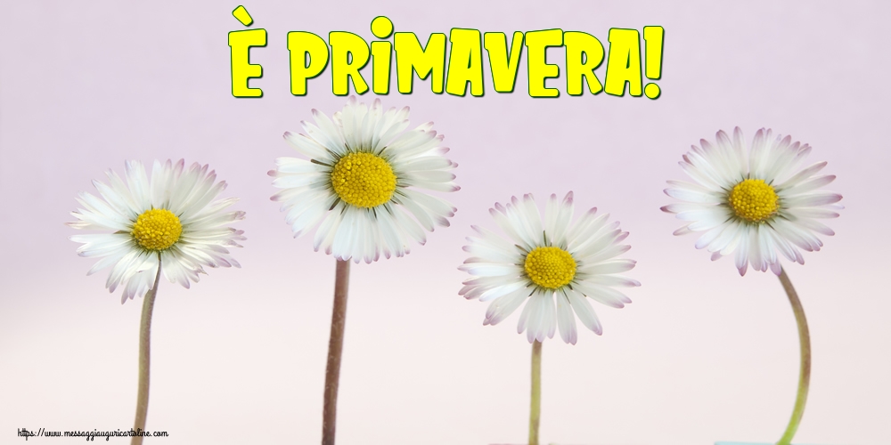 È Primavera!