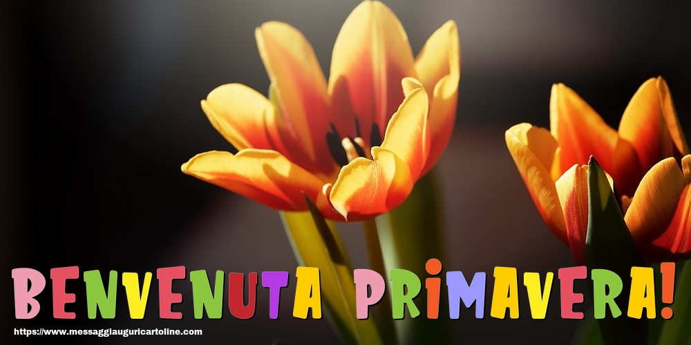 Benvenuta Primavera!
