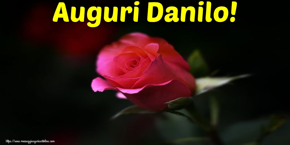 Auguri Danilo!