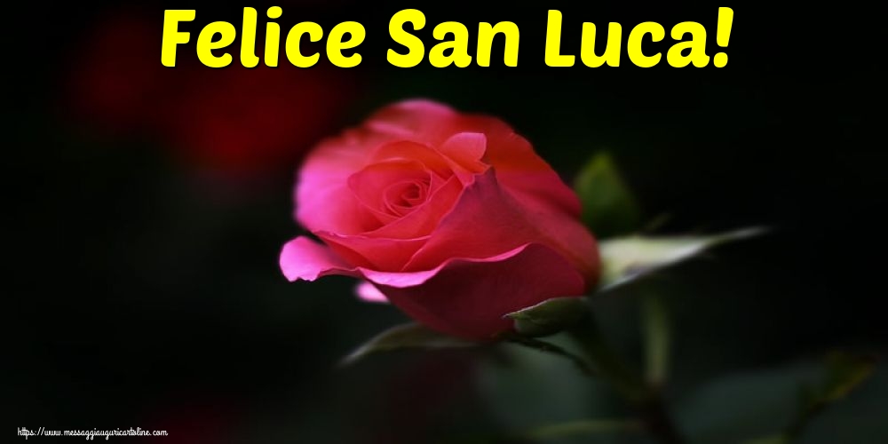 Felice San Luca!
