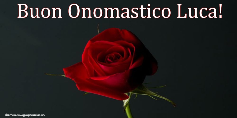 Buon Onomastico Luca!