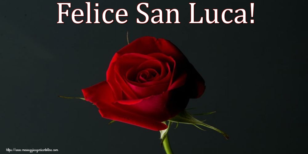 Felice San Luca!