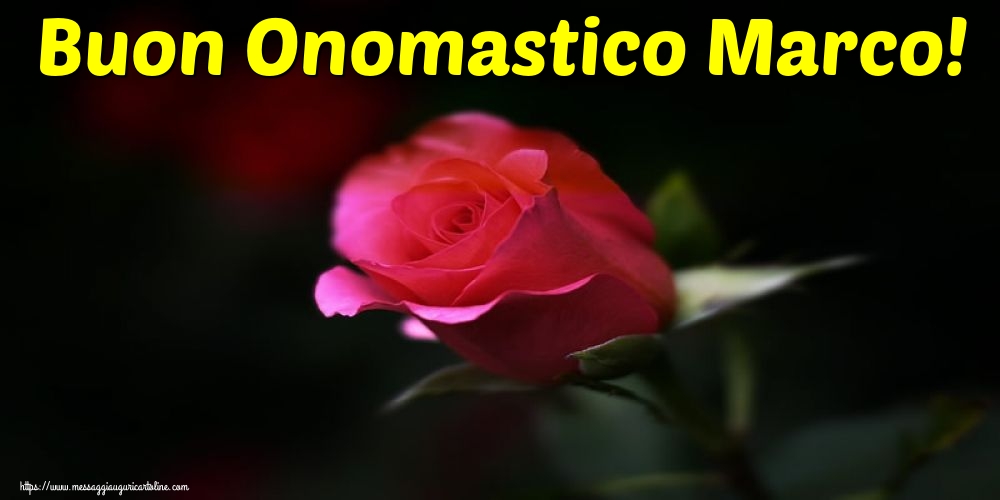 Buon Onomastico Marco!
