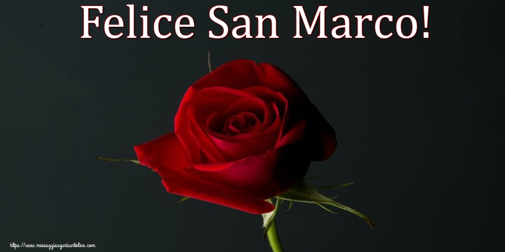 Felice San Marco!