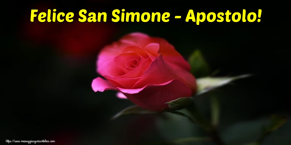 Felice San Simone - Apostolo!