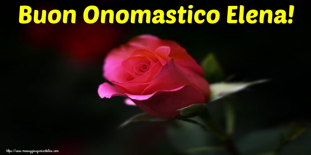 Buon Onomastico Elena!