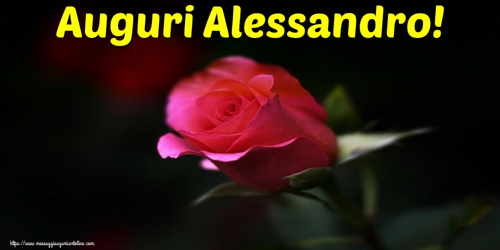 Auguri Alessandro!