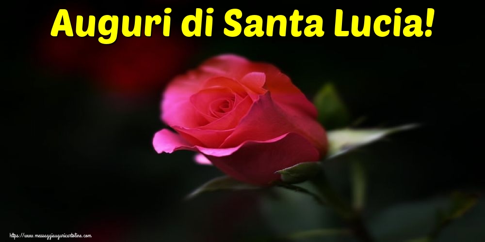 Auguri di Santa Lucia!