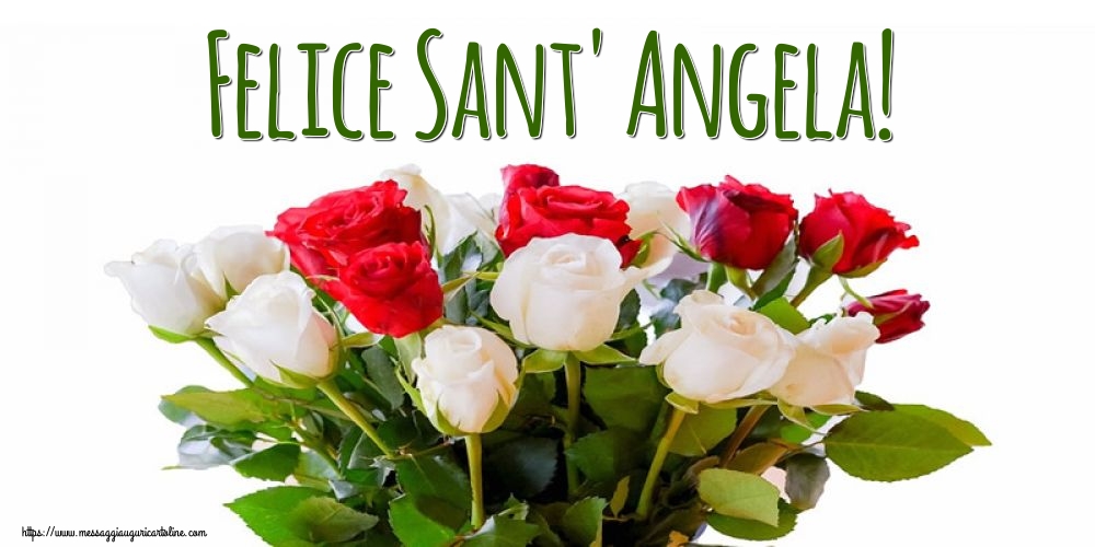 Felice Sant' Angela!