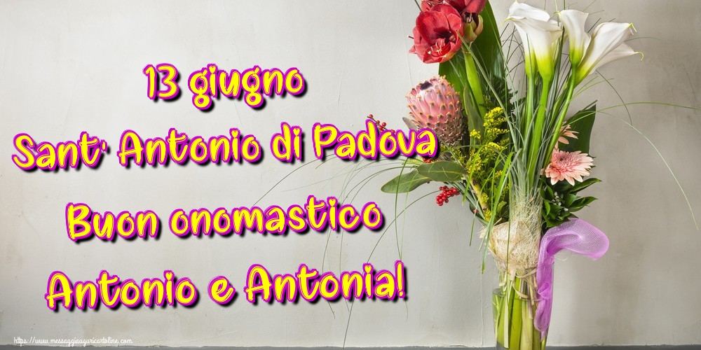 Cartoline per la Sant' Antonio di Padova - 13 giugno Sant' Antonio di Padova Buon onomastico Antonio e Antonia! - messaggiauguricartoline.com