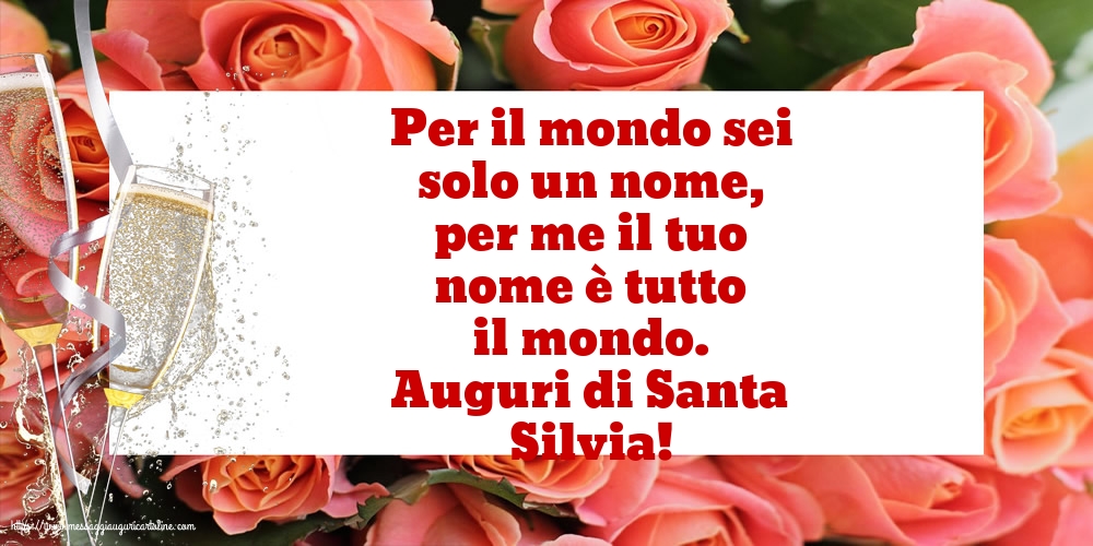 Auguri di Santa Silvia!