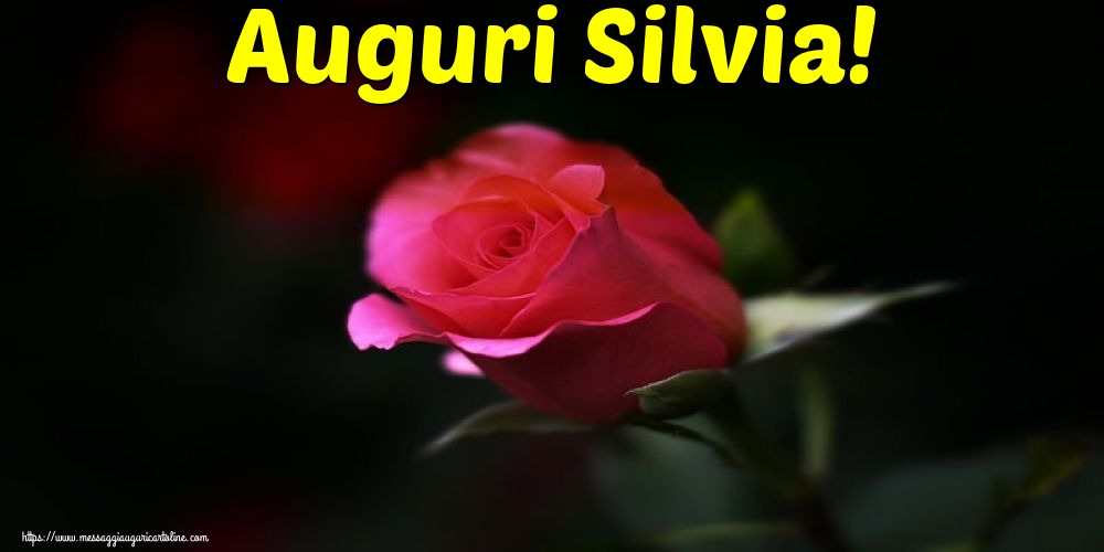 Auguri Silvia!