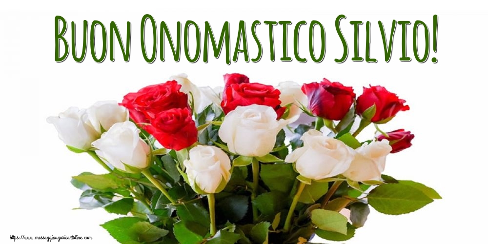 Buon Onomastico Silvio!