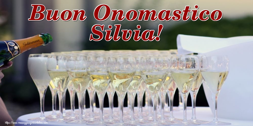 Buon Onomastico Silvia!