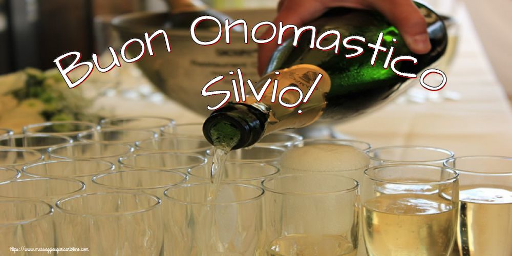 Buon Onomastico Silvio!