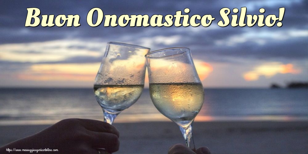 Buon Onomastico Silvio!