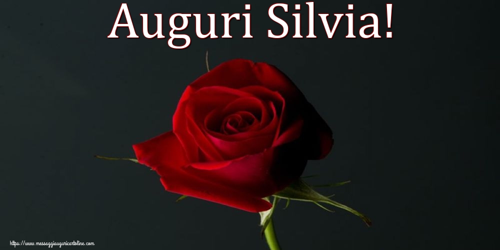 Auguri Silvia!