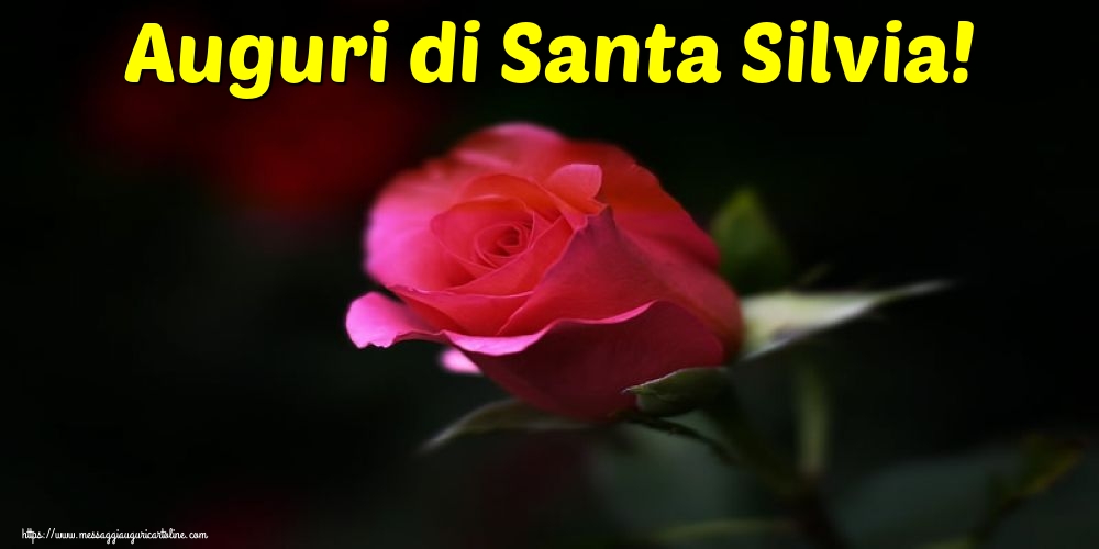Auguri di Santa Silvia!