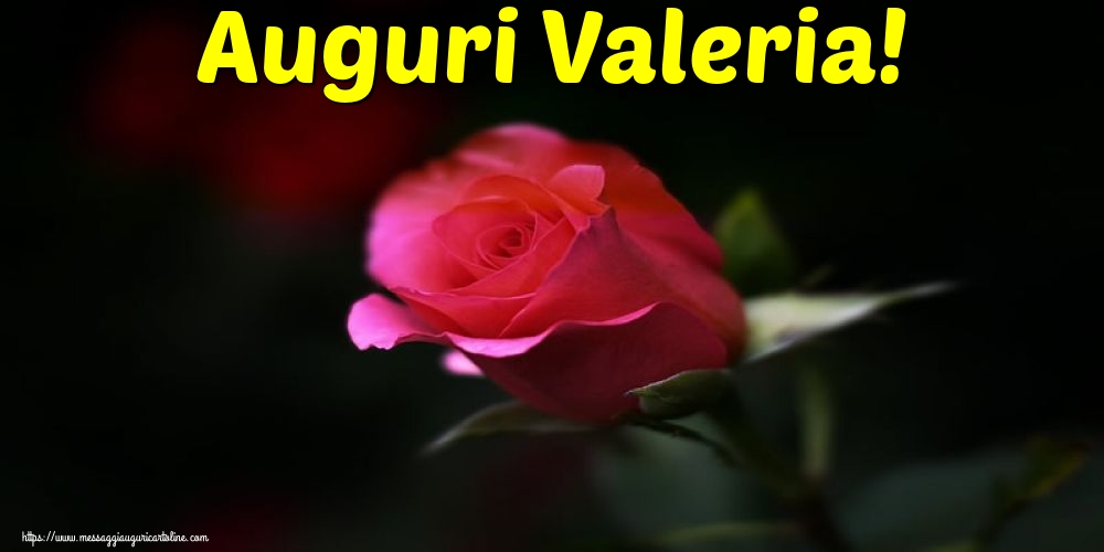 Santa Valeria Auguri Valeria!