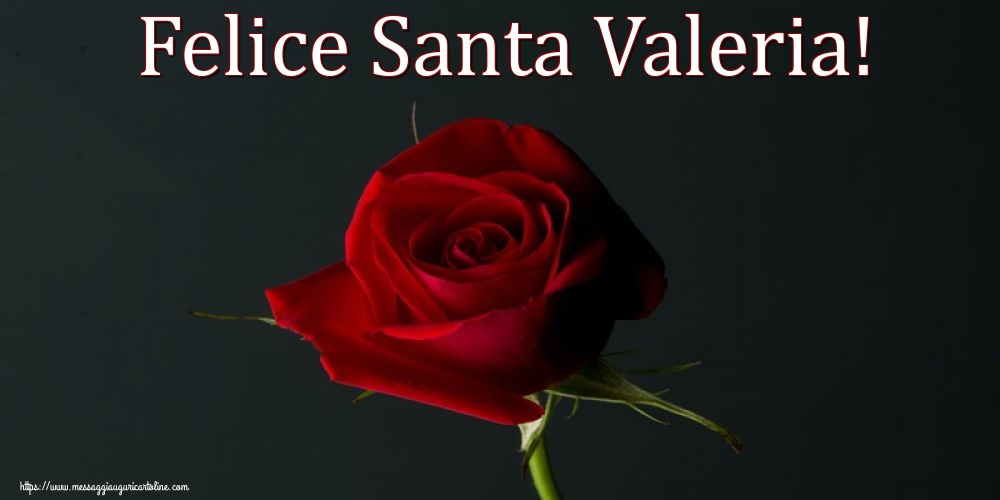 Felice Santa Valeria!