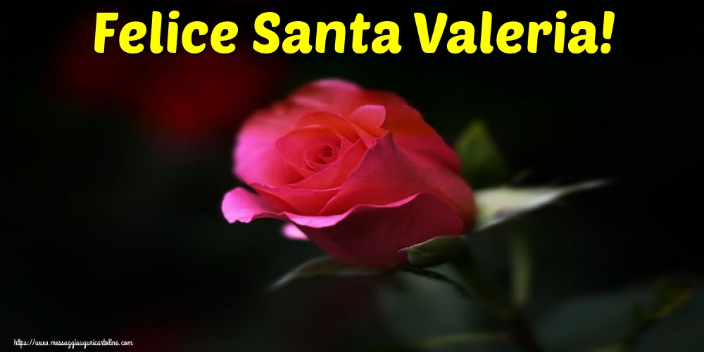 Felice Santa Valeria!
