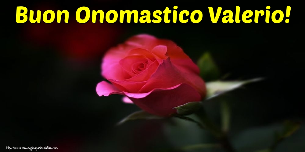 Buon Onomastico Valerio!