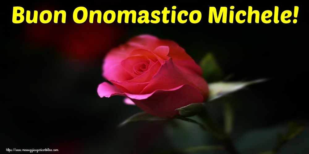 Buon Onomastico Michele!