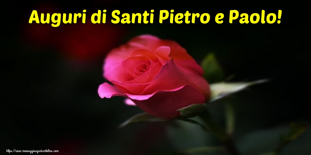 Auguri di Santi Pietro e Paolo!