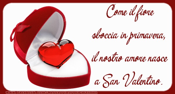 Il nostro amore nasce a San Valentino.