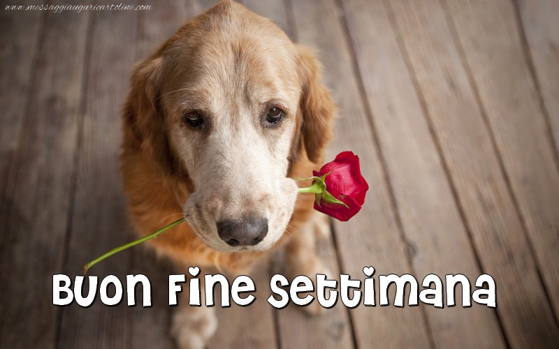Buon Weekend Buon Fine Settimana