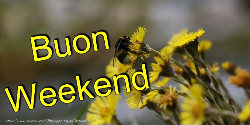 Buon Fine Settimana
