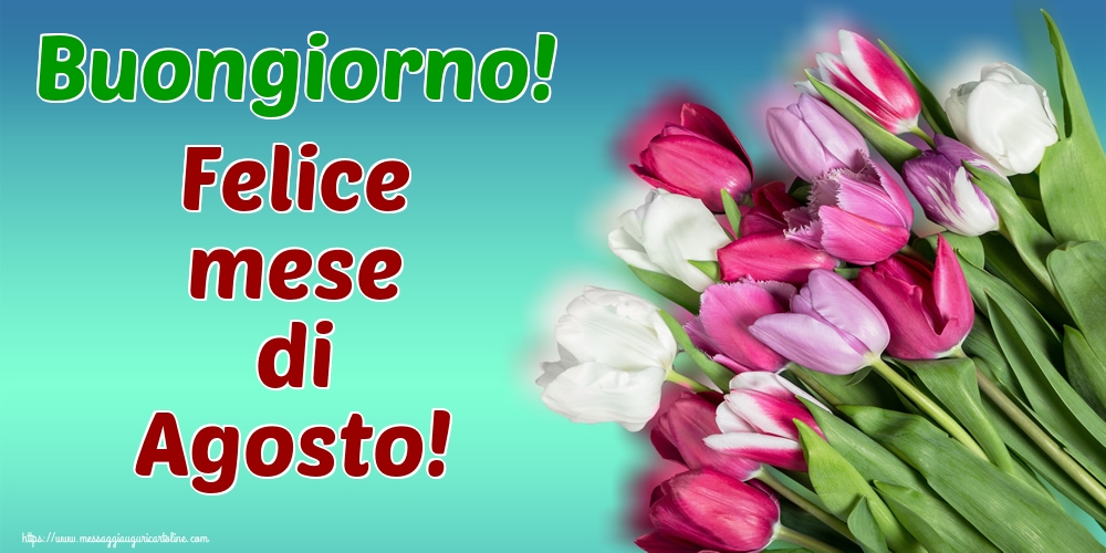 Cartoline di 1 Agosto - Buongiorno! Felice mese di Agosto!