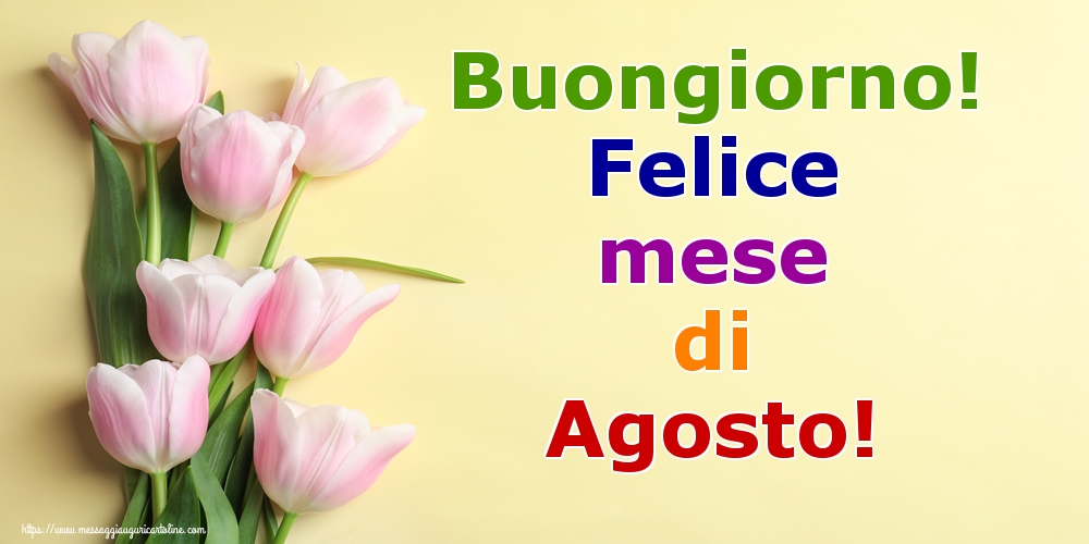 Cartoline di 1 Agosto - Buongiorno! Felice mese di Agosto!