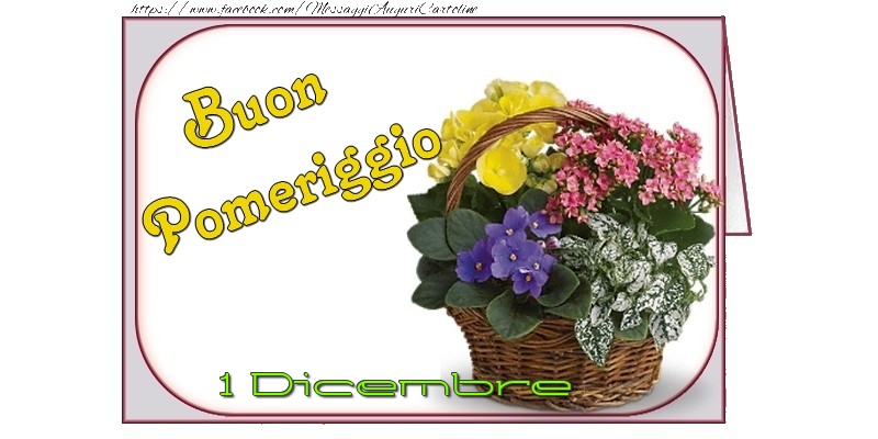 Cartoline di 1 Dicembre - 1 Dicembre - Buon Pomeriggio